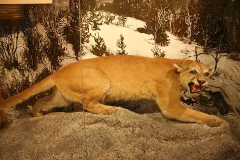 Inside Albright Visitor Center