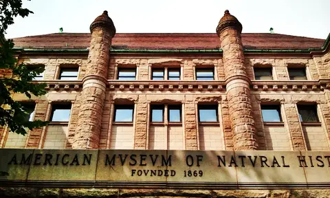 American Museum of Natural History, New York