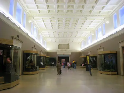 Inside Buffalo Museum of Science
