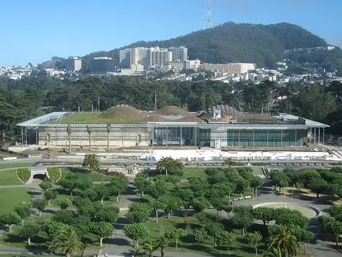 California Academy of Sciences, San Francisco