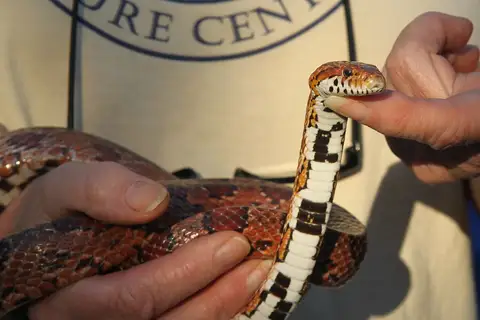 Chattahoochee Nature Center, Georgia