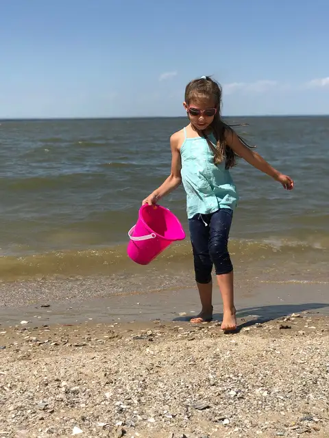 Chippokes Plantation State Park, Surry