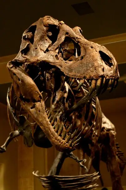 Dinosaur Discovery Museum, Kenosha