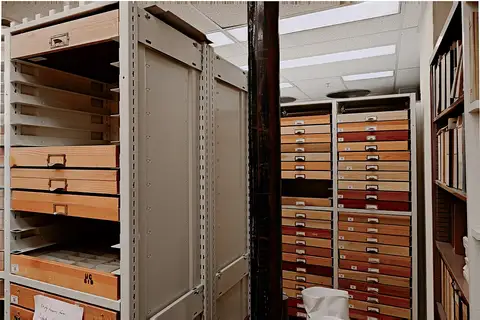 Essig Museum of Entomology, Berkeley