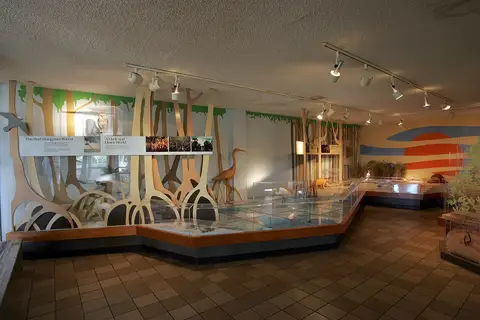 Inside Flamingo Visitor Center