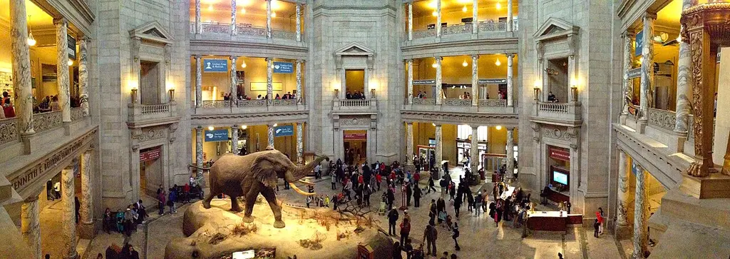 Inside National Museum of Natural History