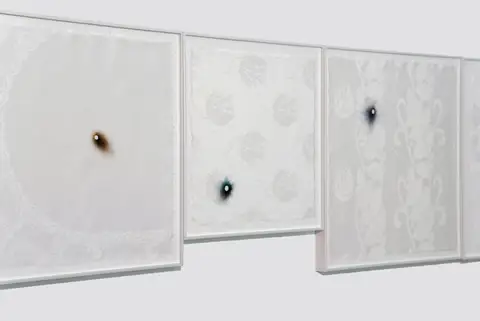 Rhona Hoffman Gallery, Chicago